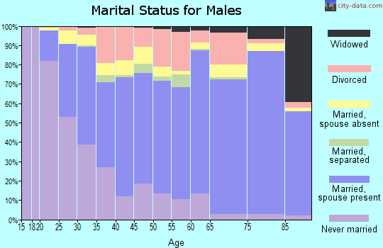 Lea County marital status for males