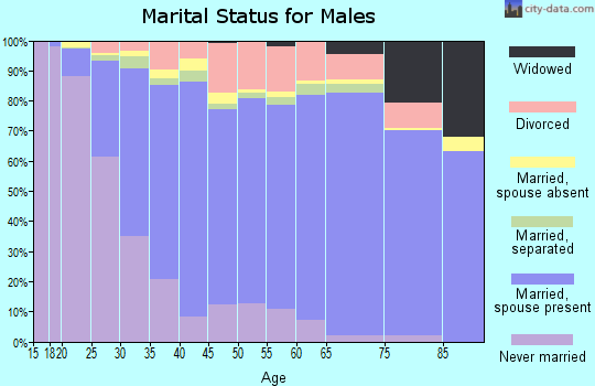 Cabarrus County marital status for males