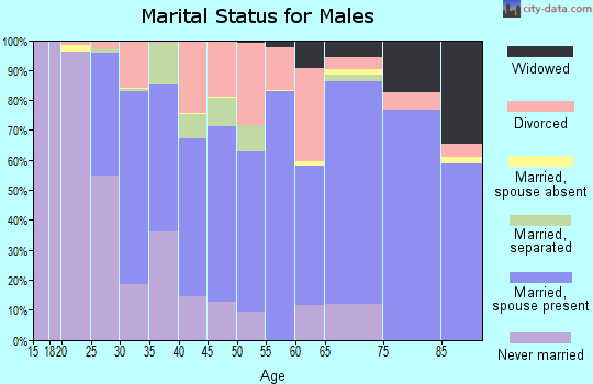 Brooks County marital status for males