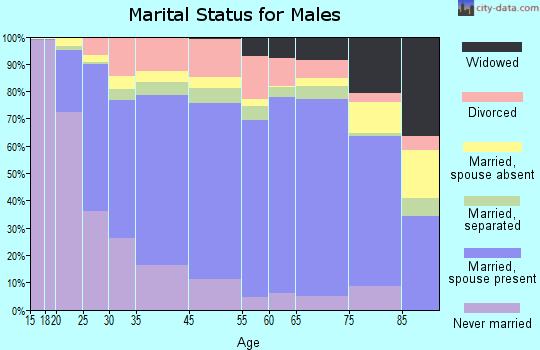 Adams County marital status for males