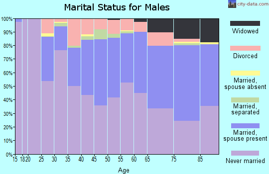 Hampshire County marital status for males