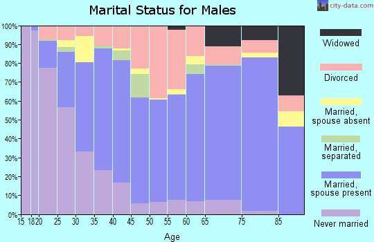 Conway County marital status for males