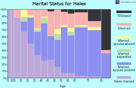 Dixie County marital status for males