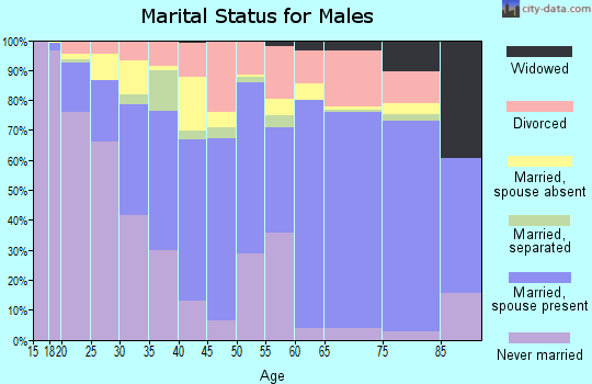 Luna County marital status for males