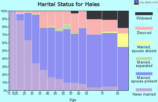 Codington County marital status for males