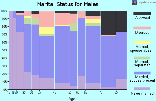 Island County marital status for males