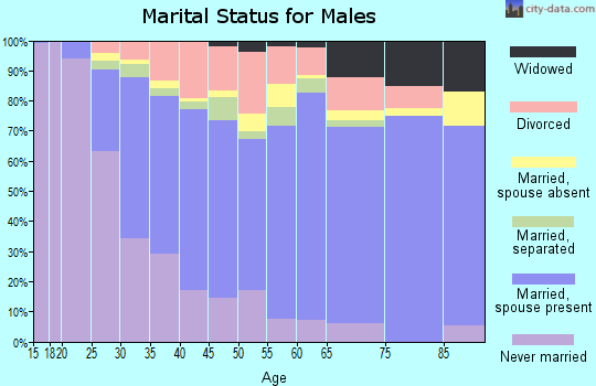 Bulloch County marital status for males