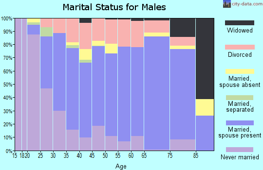 Decatur County marital status for males