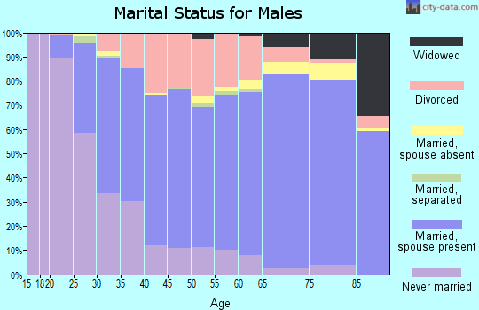 Cheboygan County marital status for males