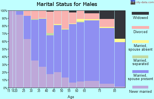 Cerro Gordo County marital status for males