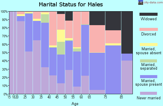 White Pine County marital status for males