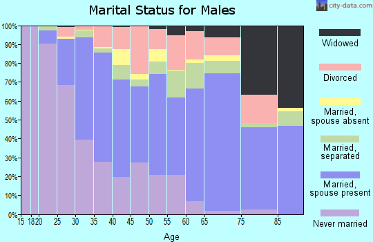 Dillon County marital status for males