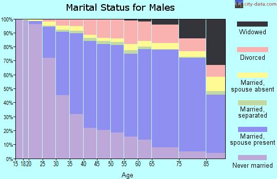 King County marital status for males