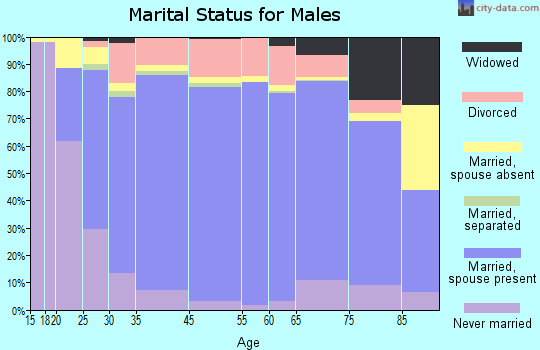 Clay County marital status for males