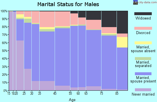 Barnes County marital status for males