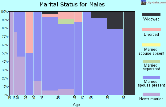 Sublette County marital status for males