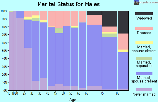 Cass County marital status for males