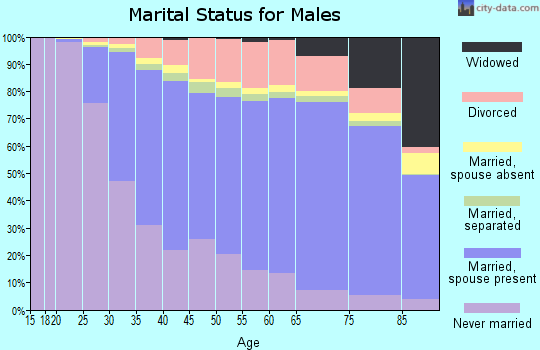 Allegheny County marital status for males