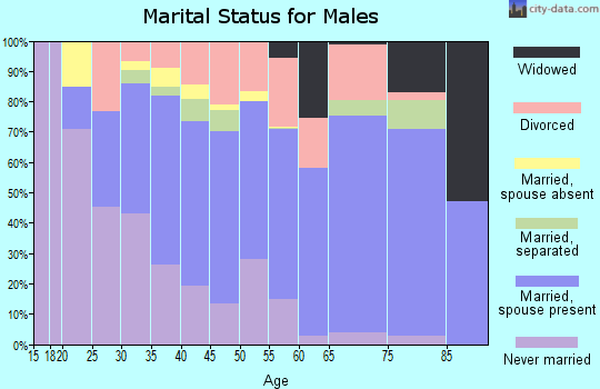 Dallas County marital status for males