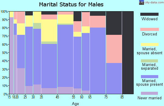 Elmore County marital status for males