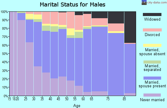 Aiken County marital status for males