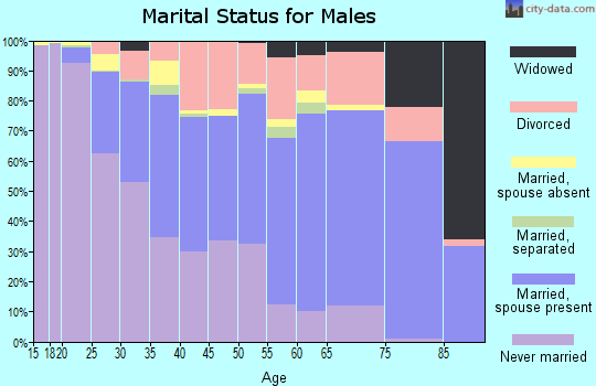 Rio Arriba County marital status for males