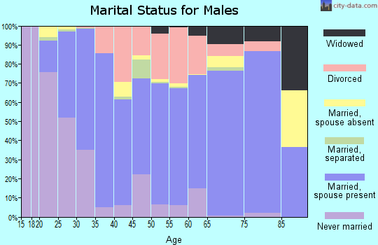 Decatur County marital status for males