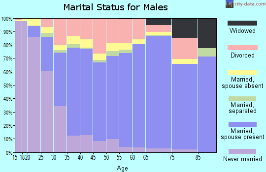 Sanpete County marital status for males