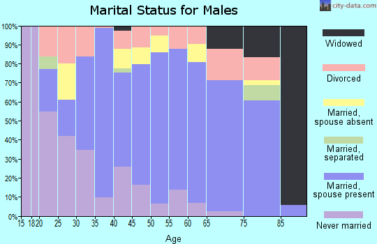 Andrews County marital status for males