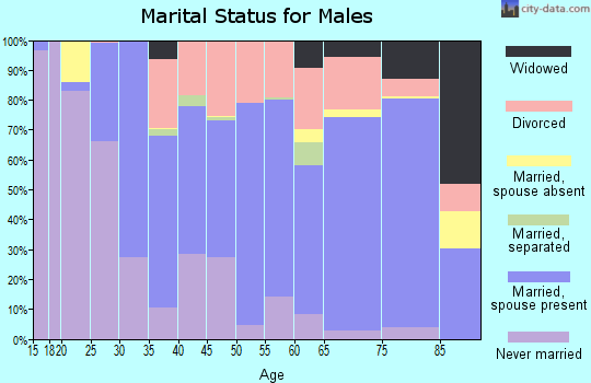 Chariton County marital status for males