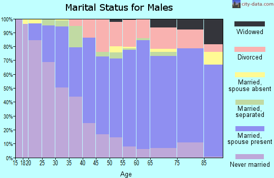Bennington County marital status for males