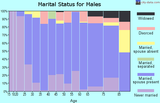 Hettinger County marital status for males