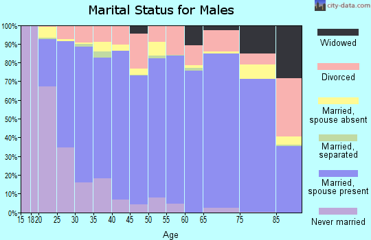 Sevier County marital status for males