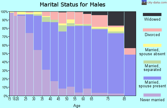 Chesterfield County marital status for males