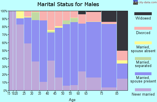 Drew County marital status for males