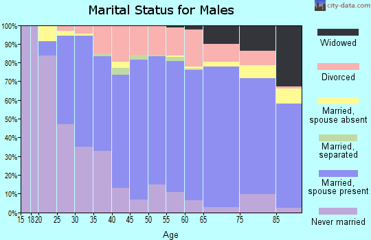 Dickinson County marital status for males
