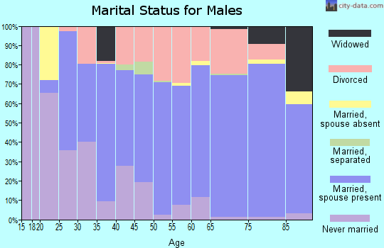 Gem County marital status for males