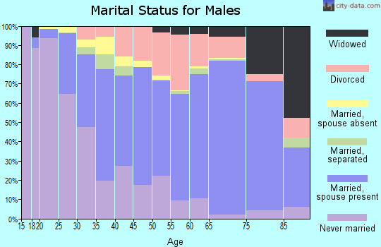 Iberia Parish marital status for males