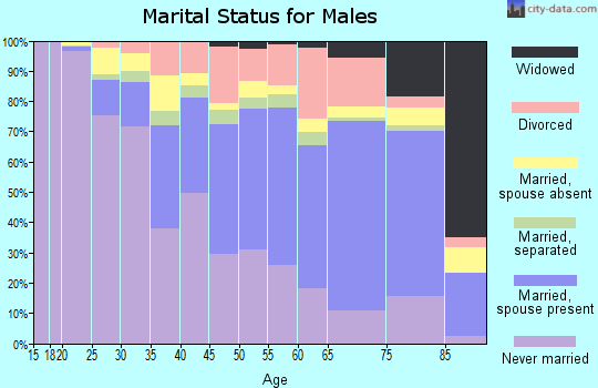 Apache County marital status for males