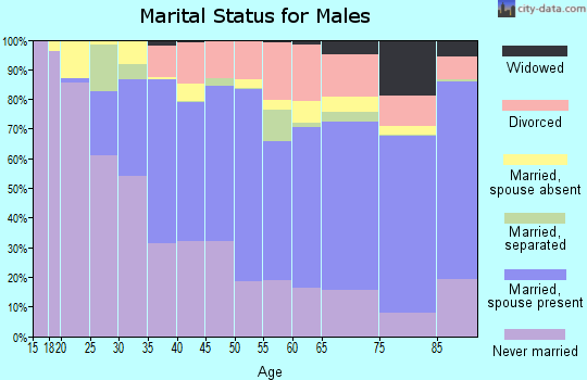 Hawaii County marital status for males