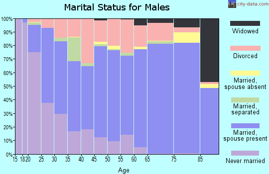 Dyer County marital status for males