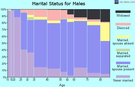 Briscoe County marital status for males