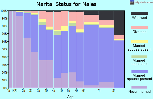 Sussex County marital status for males