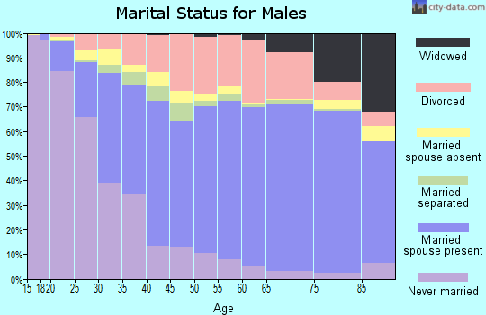 Bay County marital status for males