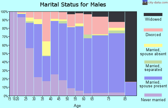 Idaho County marital status for males