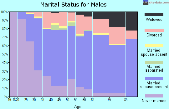 Lewis and Clark County marital status for males