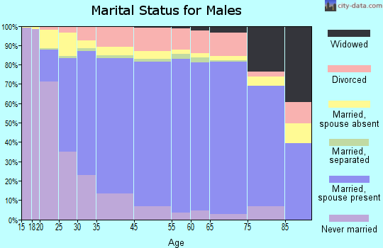 Kalawao County marital status for males