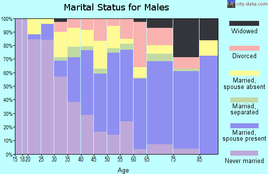 Hendry County marital status for males