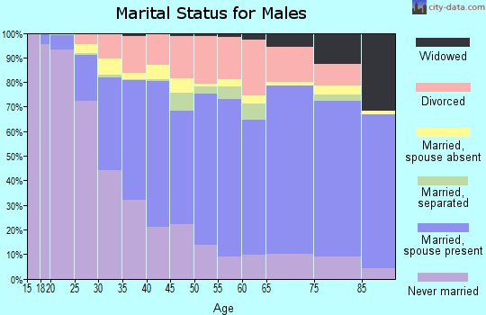 Chatham County marital status for males