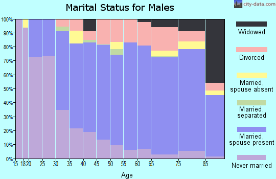 Allamakee County marital status for males